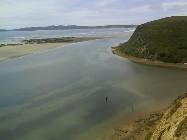 267 Drake Estuary 3rd Jun 2010.jpg